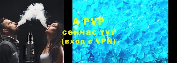 прущие грибы Волоколамск
