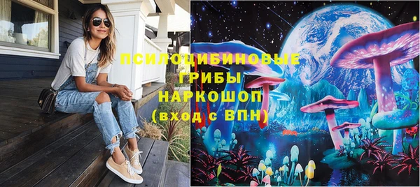прущие грибы Волоколамск