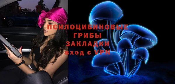 ECSTASY Волосово