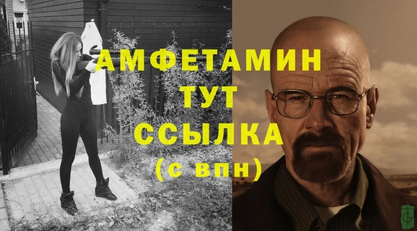прущие грибы Волоколамск