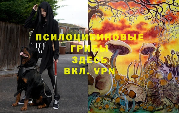 ECSTASY Волосово