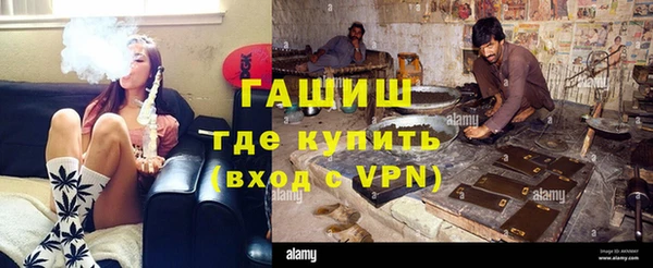 прущие грибы Волоколамск