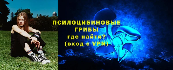 прущие грибы Волоколамск
