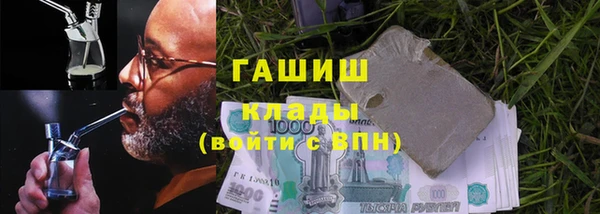 прущие грибы Волоколамск