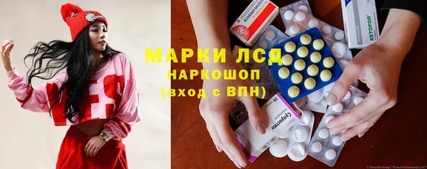 прущие грибы Волоколамск