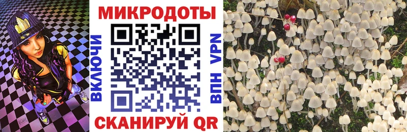Купить  Байкальск  Псилоцибиновые грибы MAGIC MUSHROOMS 